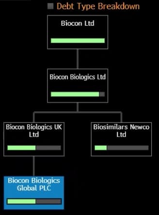 Corporate Structure